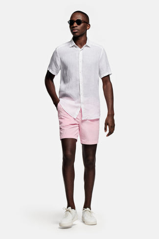 Flamingos * The Short Cords Flamingos * The Short Cords