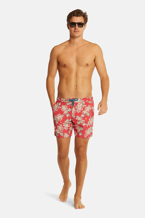 Blooms * The Print Swims
